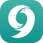 Nine Store icon