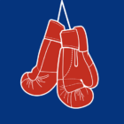 LEATHER icon